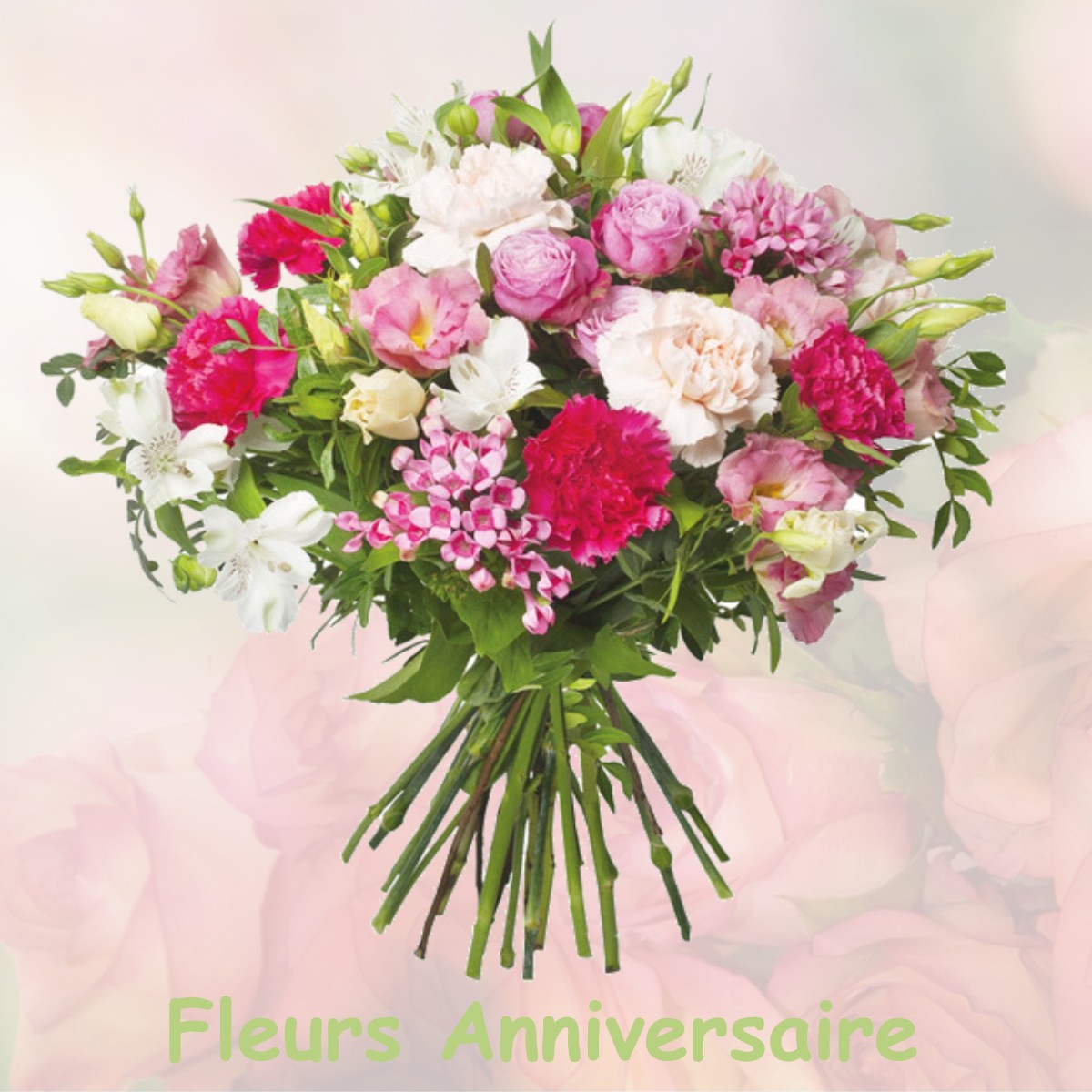 fleurs anniversaire SAINT-PLAISIR